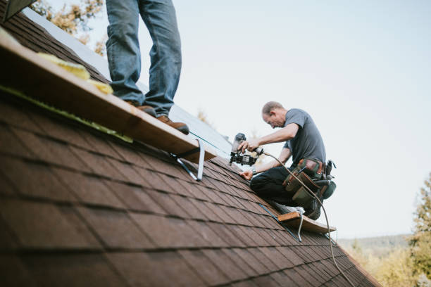 Best Roof Maintenance Services  in Whitesburg, KY